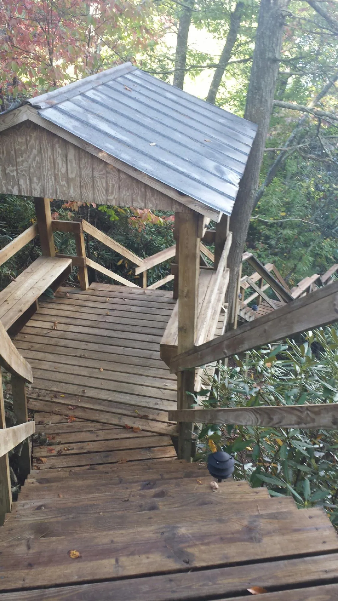 Metal roofed shelter over wooden steps on a wooded walkway — Skylight Repair & Installation work by our crew in Greenbrae